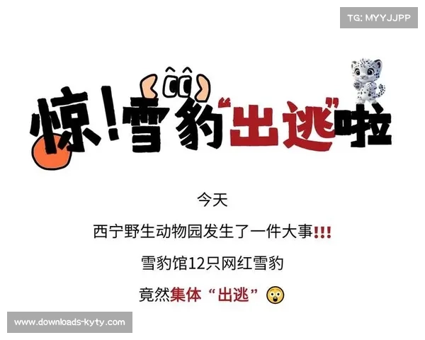 西宁雪豹三主一客赛程分析 逆袭玉树有望实现